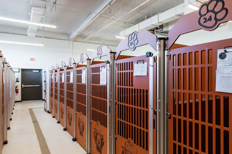 Commercial interior design and architecture showing kennels at the Bark Yard, created by Schaub Projects