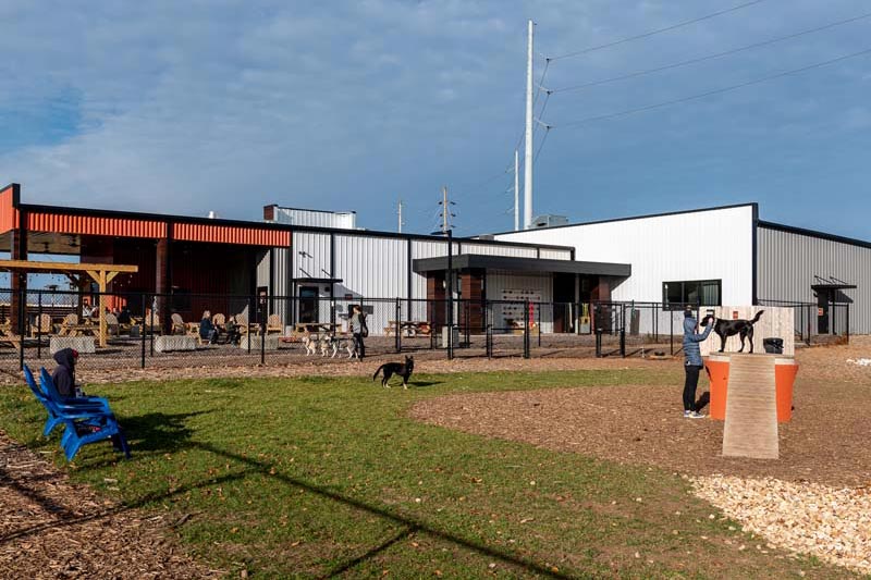 Outdoor, commercial dog park at the Bark Yard, designed by Schaub Projects